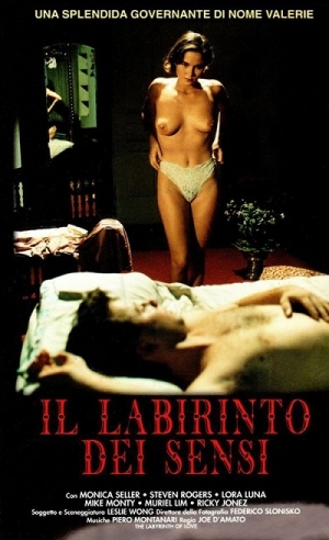 Joe D Amato - The Labyrinth of Love / Il labirinto dei sensi (1993) Monica Carpanese, Steven Rogers, Lora Luna