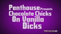 Chocolate Chicks On Vanilla Dicks